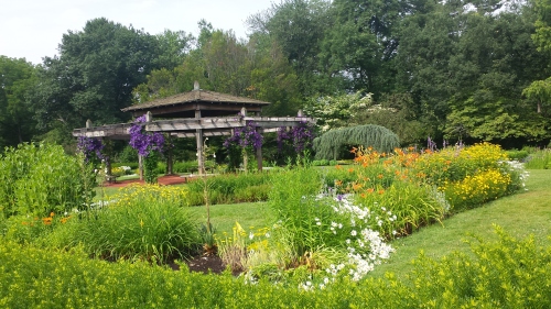 Perennial Garden at Elizabeth Park